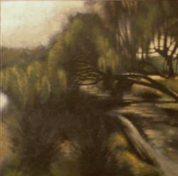 Estany de Banyoles 70x70cm