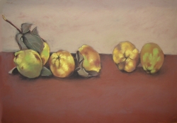 Fageda 50x70cm